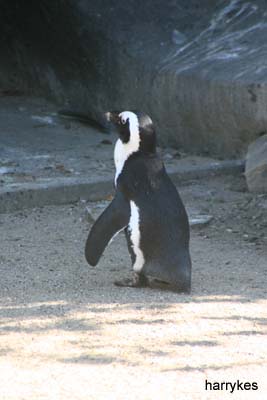 IMG_8310