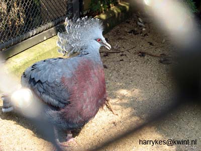 artis08 12-8-2007 12-24-06