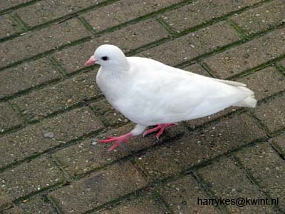 artis08 12-8-2007 12-25-49