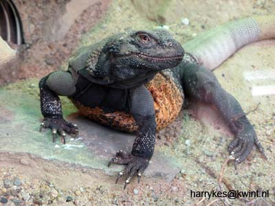 artis08 12-8-2007 12-30-58