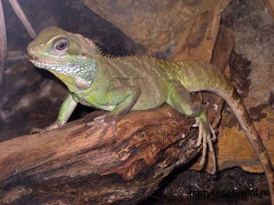 artis08 12-8-2007 12-32-12