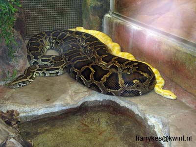 artis08 12-8-2007 12-33-24