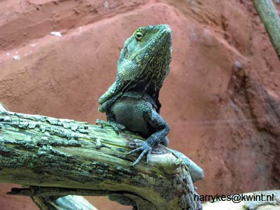 artis08 12-8-2007 12-34-12