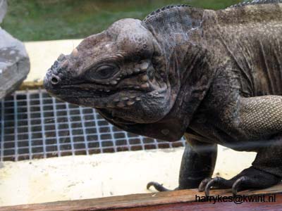 artis08 12-8-2007 12-36-42