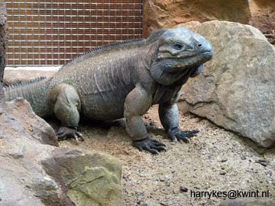 artis08 12-8-2007 12-37-30