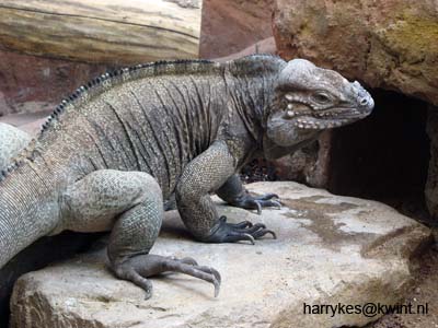 artis08 12-8-2007 12-37-37