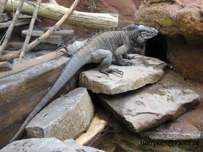 artis08 12-8-2007 12-37-44