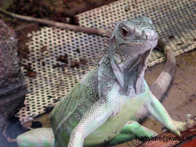 artis08 12-8-2007 12-39-18