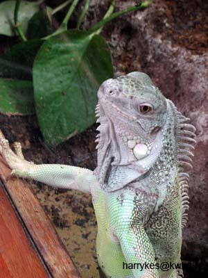 artis08 12-8-2007 12-39-37