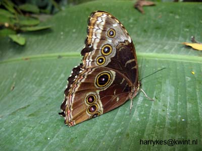 artis08 12-8-2007 13-29-18