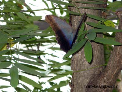 artis08 12-8-2007 13-30-26