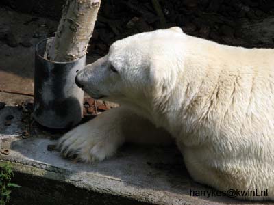artis08 12-8-2007 14-17-43