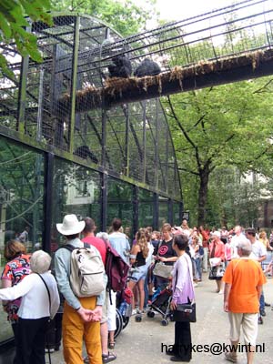 artis08 12-8-2007 14-26-50