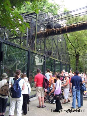 artis08 12-8-2007 14-27-03