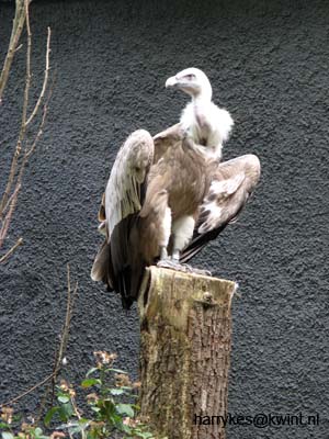 artis08 12-8-2007 14-33-58
