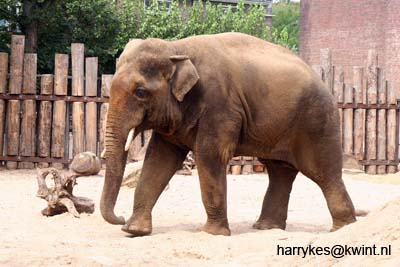 artis08 12-8-2007 14-41-37