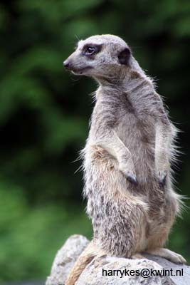 artis08 12-8-2007 14-47-50