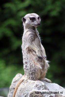 artis08 12-8-2007 14-48-01