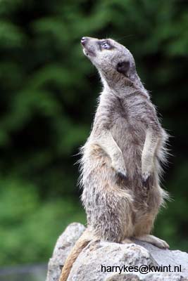 artis08 12-8-2007 14-48-06