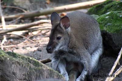 artis08 12-8-2007 14-56-19