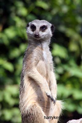 artis08 12-8-2007 14-58-02