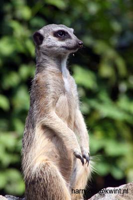 artis08 12-8-2007 14-58-06
