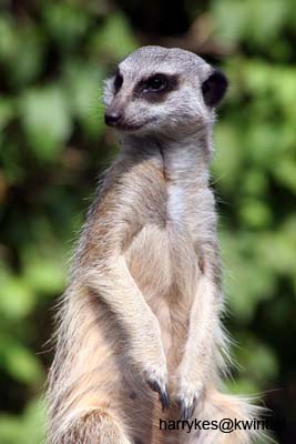 artis08 12-8-2007 14-58-16