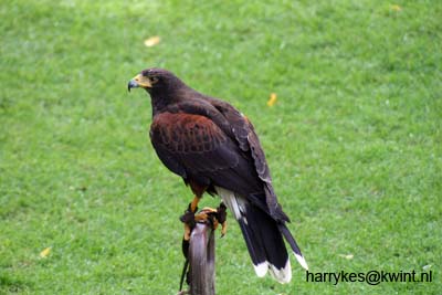 artis08 12-8-2007 14-59-48