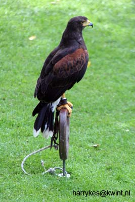 artis08 12-8-2007 15-00-36