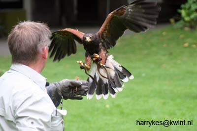 artis08 12-8-2007 15-19-27