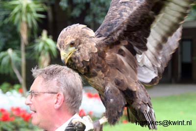 artis08 12-8-2007 15-28-54