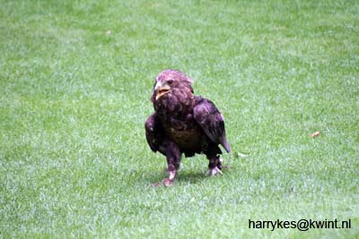 artis08 12-8-2007 15-30-09