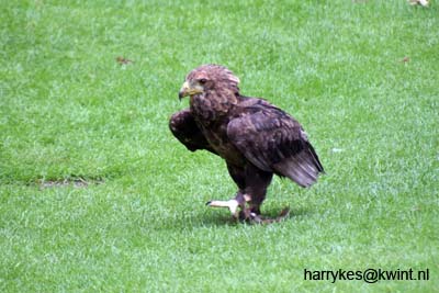 artis08 12-8-2007 15-30-12