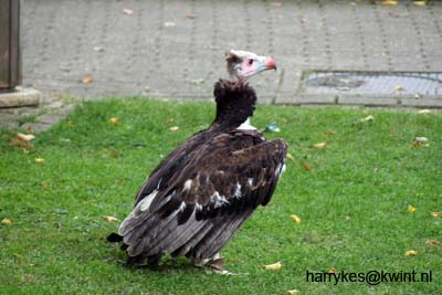 artis08 12-8-2007 15-31-37