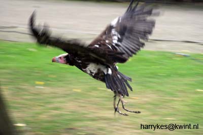 artis08 12-8-2007 15-32-08