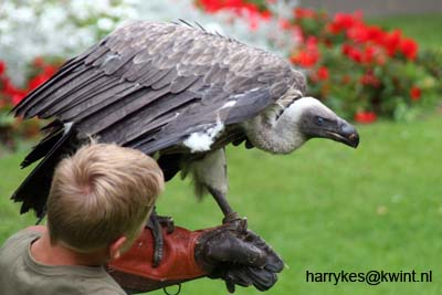 artis08 12-8-2007 15-34-01