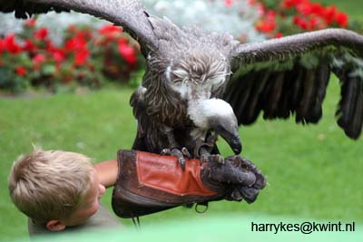 artis08 12-8-2007 15-34-02