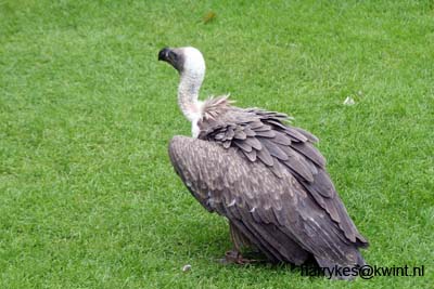 artis08 12-8-2007 15-34-10