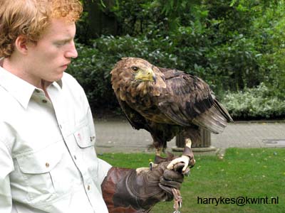artis08 12-8-2007 15-37-45