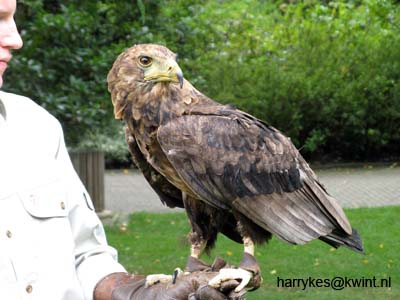 artis08 12-8-2007 15-38-32