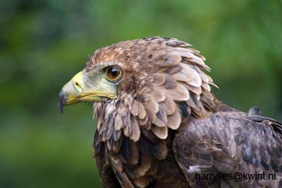 artis08 12-8-2007 15-42-26