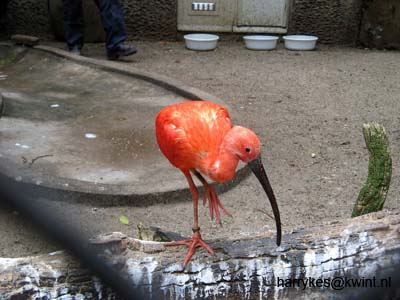 artis08 12-8-2007 16-24-07