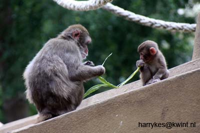 artis08 12-8-2007 16-41-17