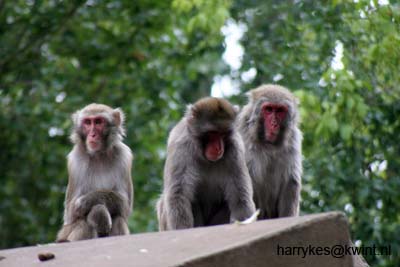 artis08 12-8-2007 16-42-14