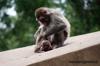 artis08 12-8-2007 16-43-11