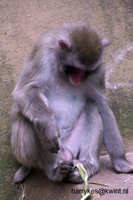 artis08 12-8-2007 16-44-22