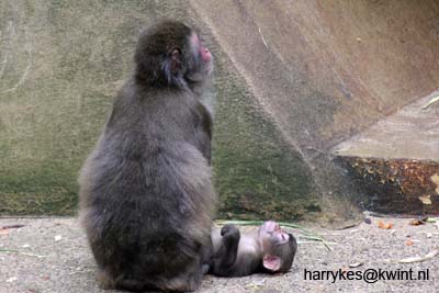 artis08 12-8-2007 16-50-13