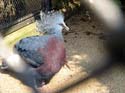 artis08 12-8-2007 12-24-06