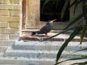 artis08 12-8-2007 12-25-01