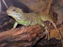 artis08 12-8-2007 12-32-12